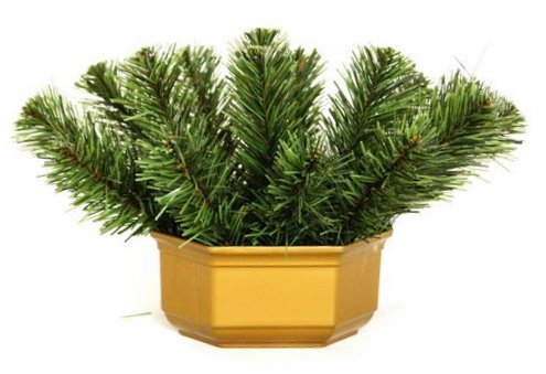 ცემენტის სუბსტრატები