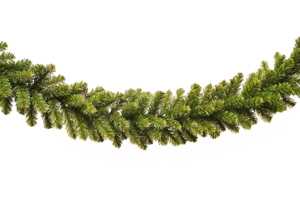 ზღაპარი შუქები